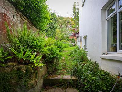 Picture 19
